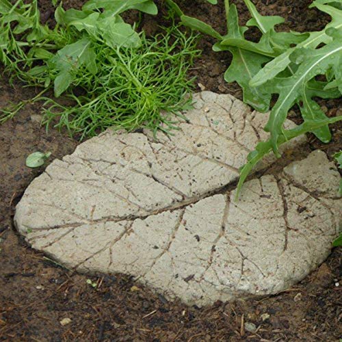 Viva Decor Concrete Beton for Creatives, Grey, 1.5 kg